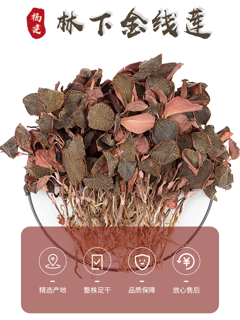正宗林下<a href=http://www.lidekc.cn/ target='_blank'>金線蓮</a>干品