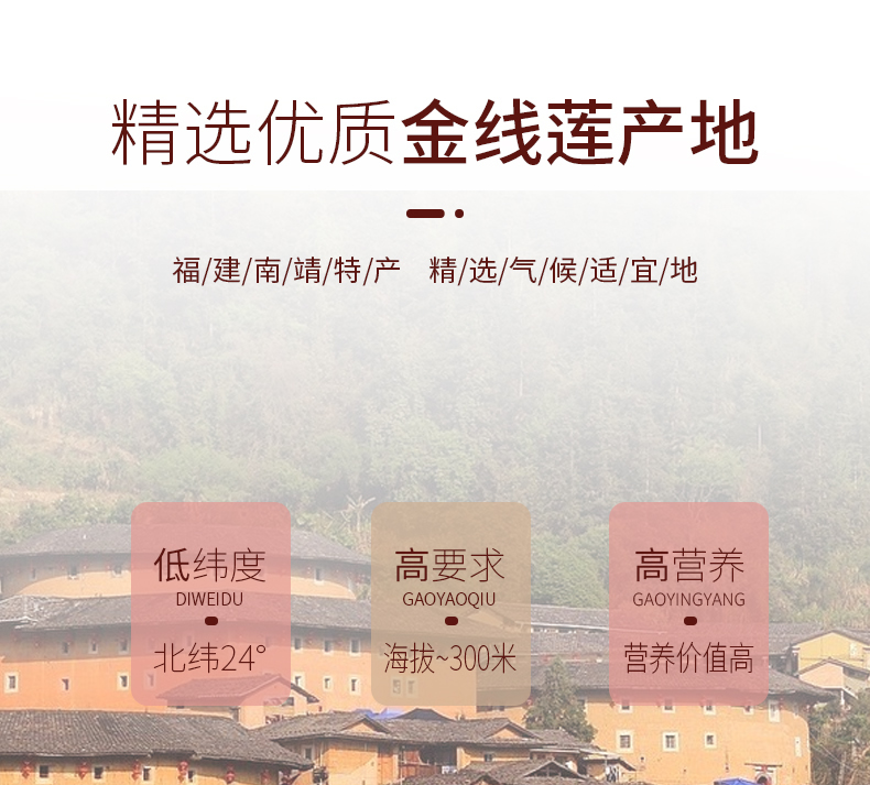 開花<a href=http://www.lidekc.cn/ target='_blank'>金線蓮</a>干品