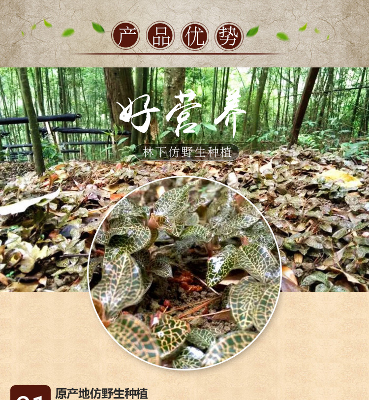 <a href=http://www.lidekc.cn/ target='_blank'>金線蓮</a>干品 20克禮盒裝